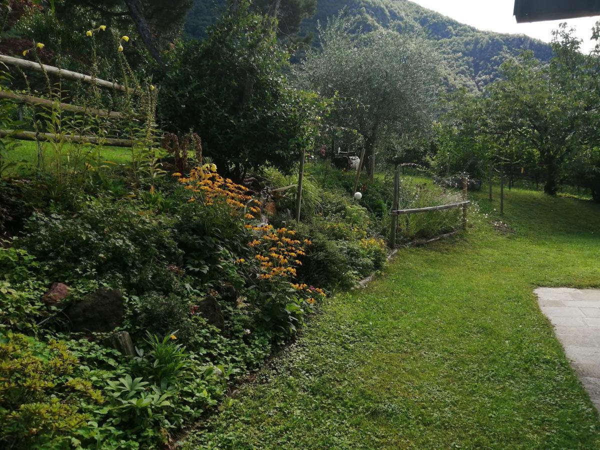 Villa Pinie Apt 1 Terlan Exterior foto